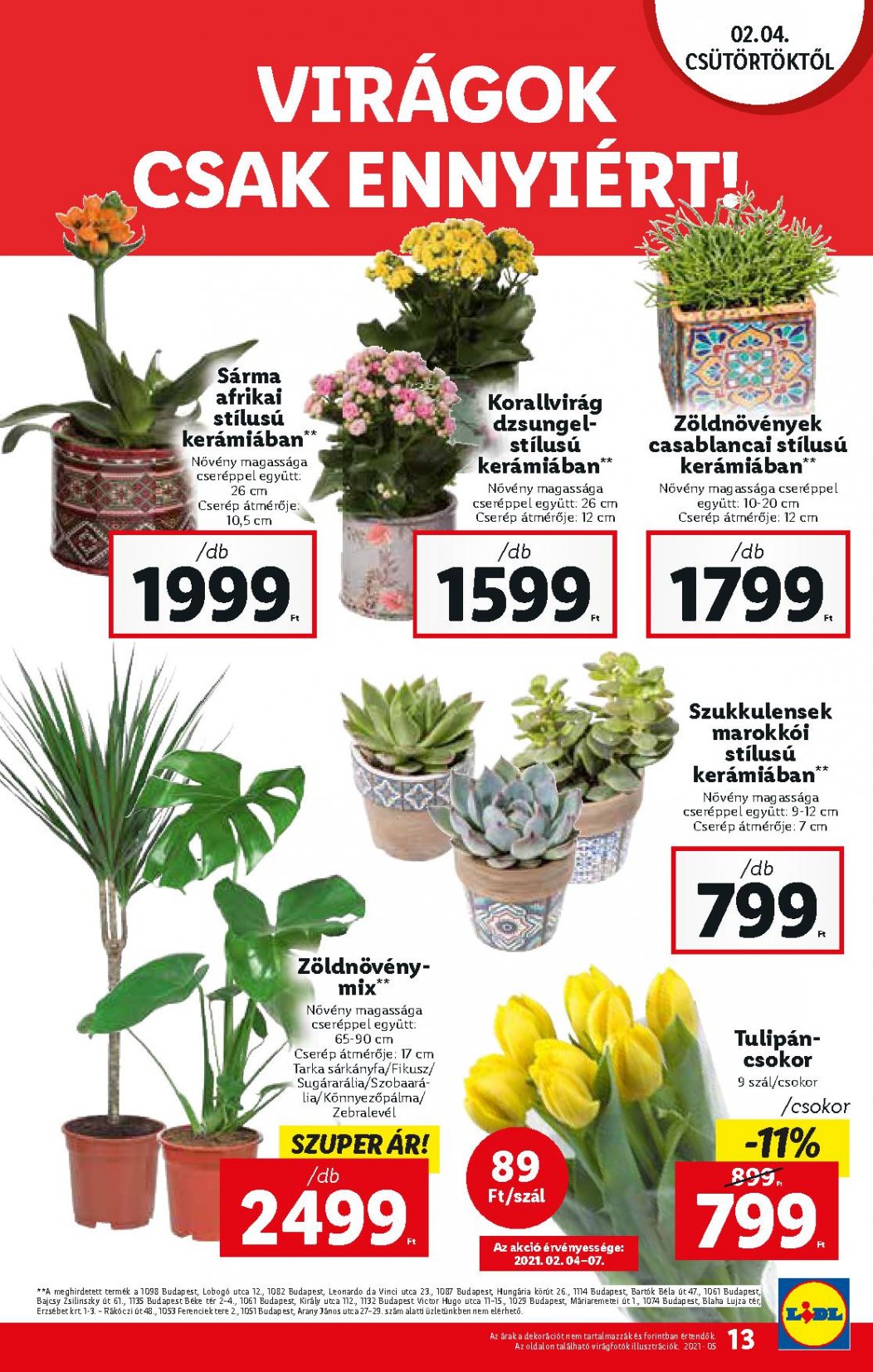lidl0204-13