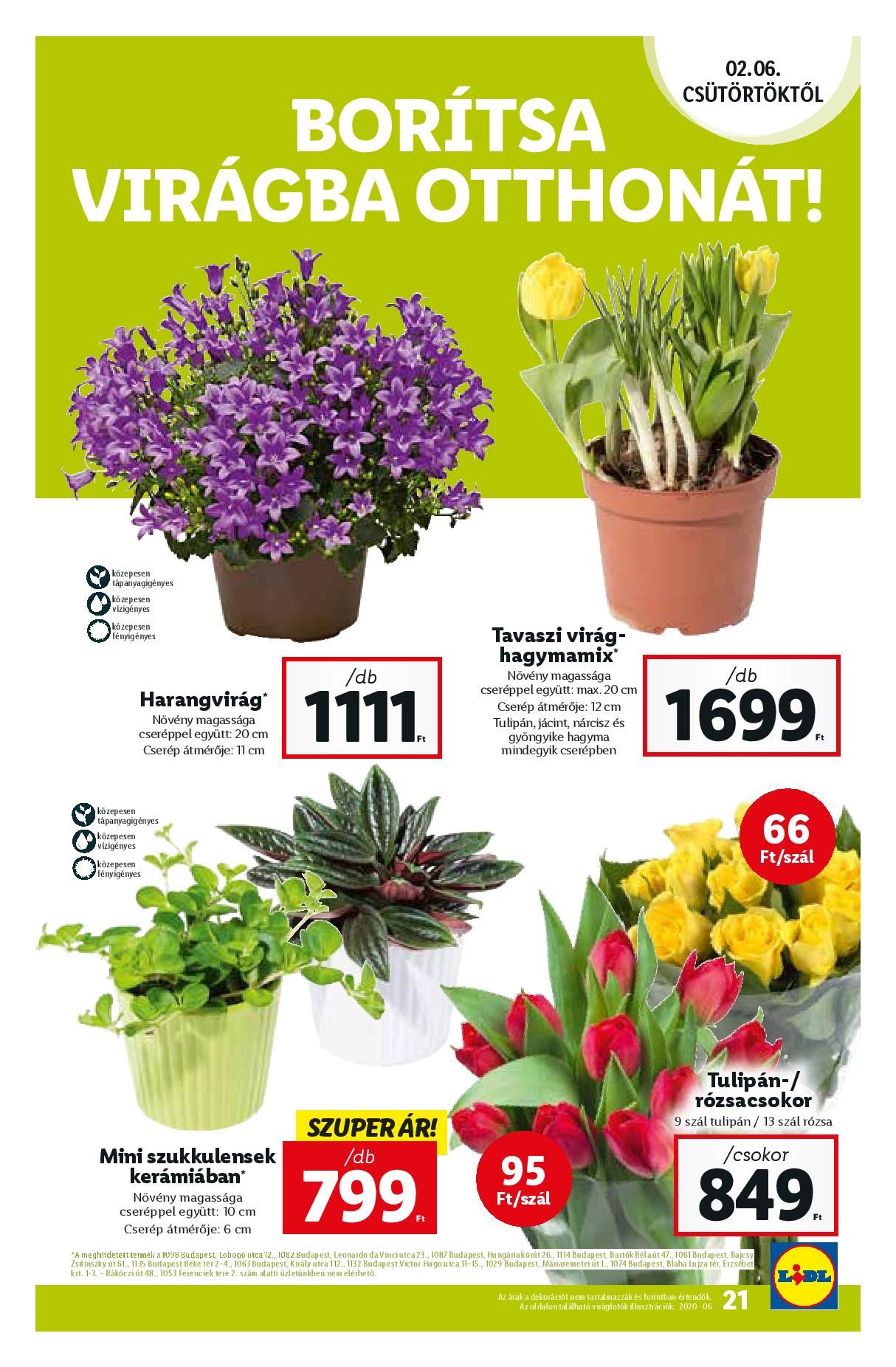 lidl0206-page-021