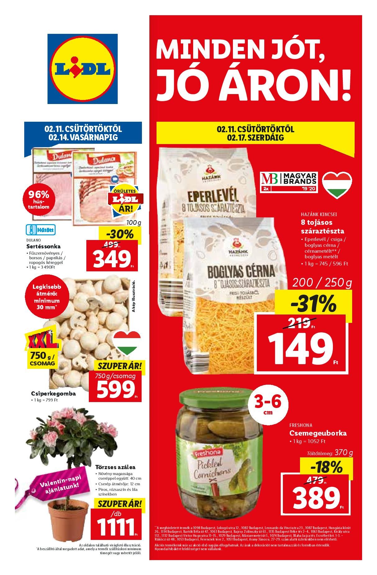 lidl0211-page-001