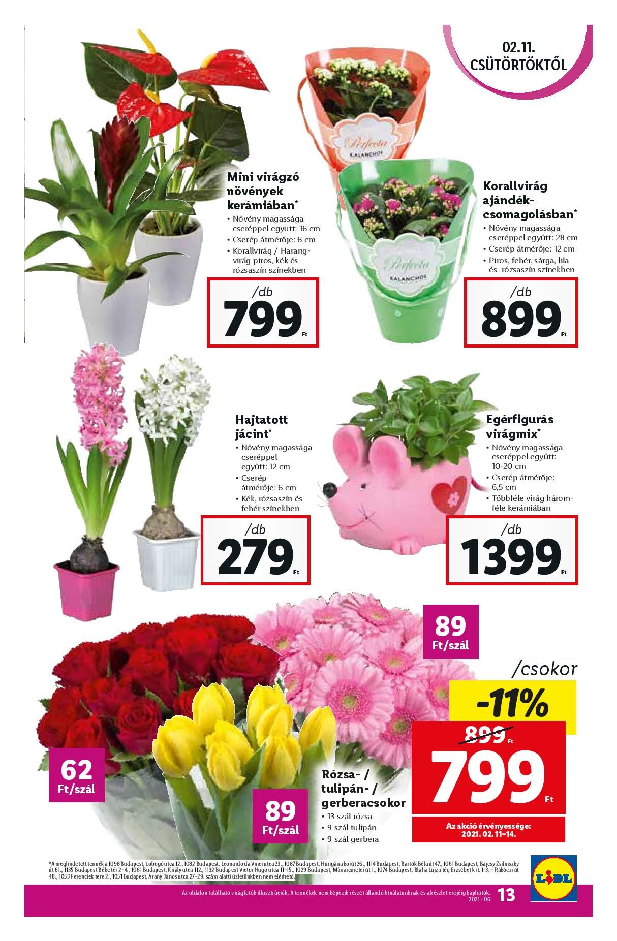 lidl0211-page-013