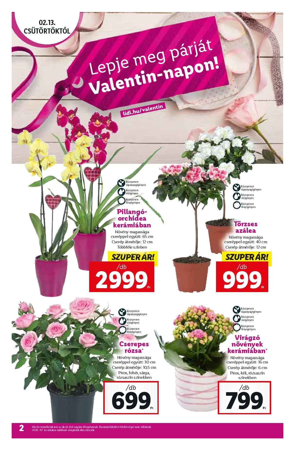 lidl0213-page-002