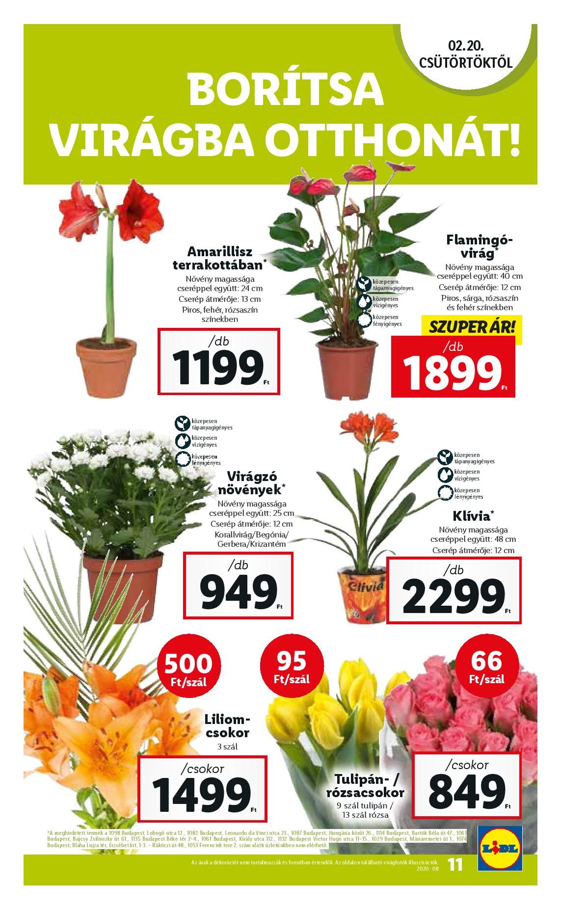 lidl0220-page-011