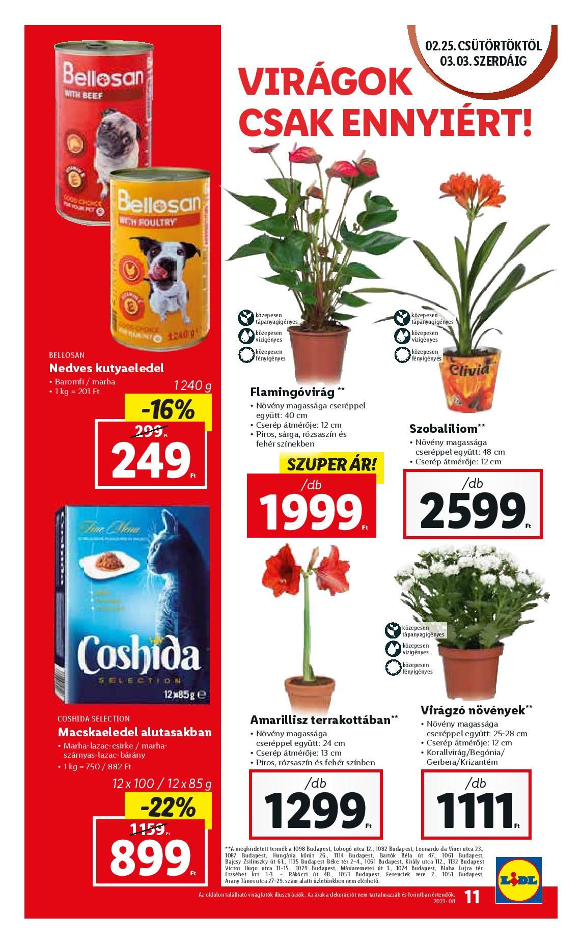 lidl0225-page-011