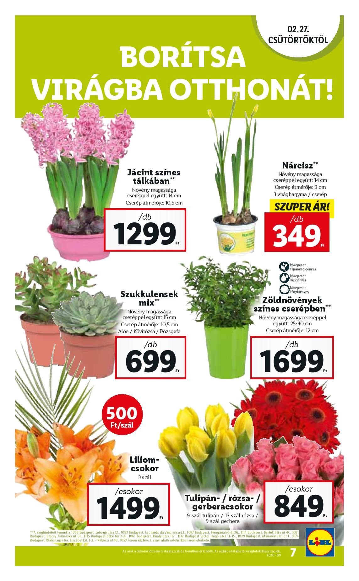 lidl0227-page-007