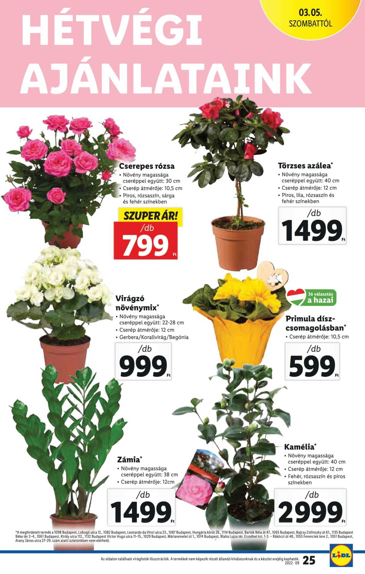 lidl033039-25