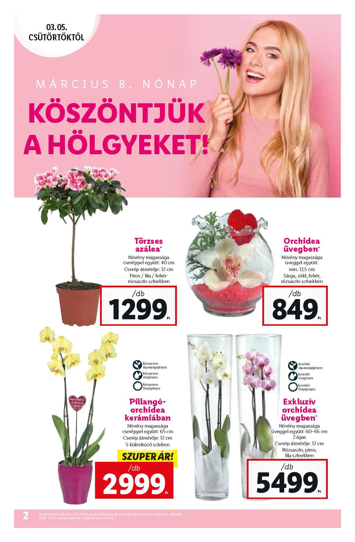 lidl0305-page-002