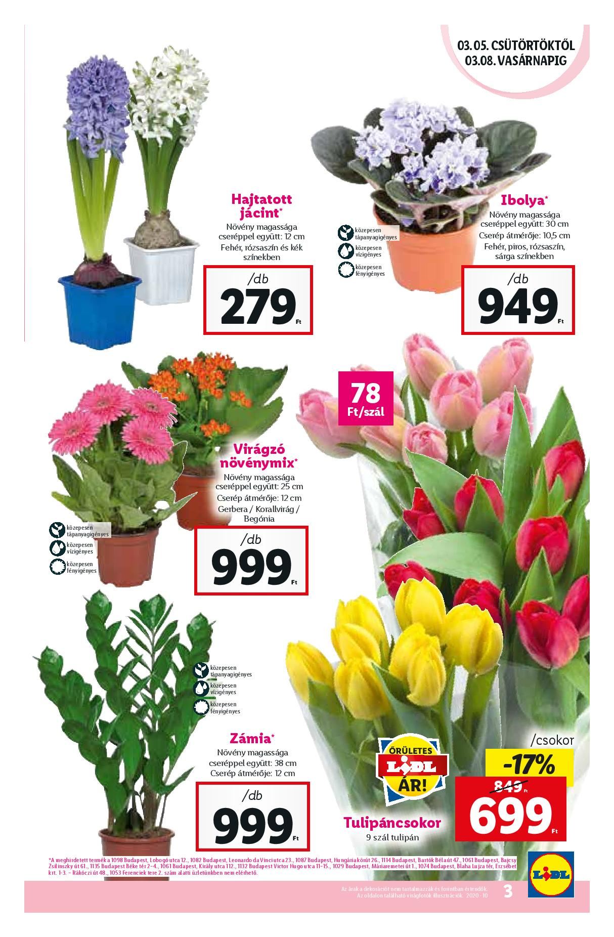 lidl0305-page-003