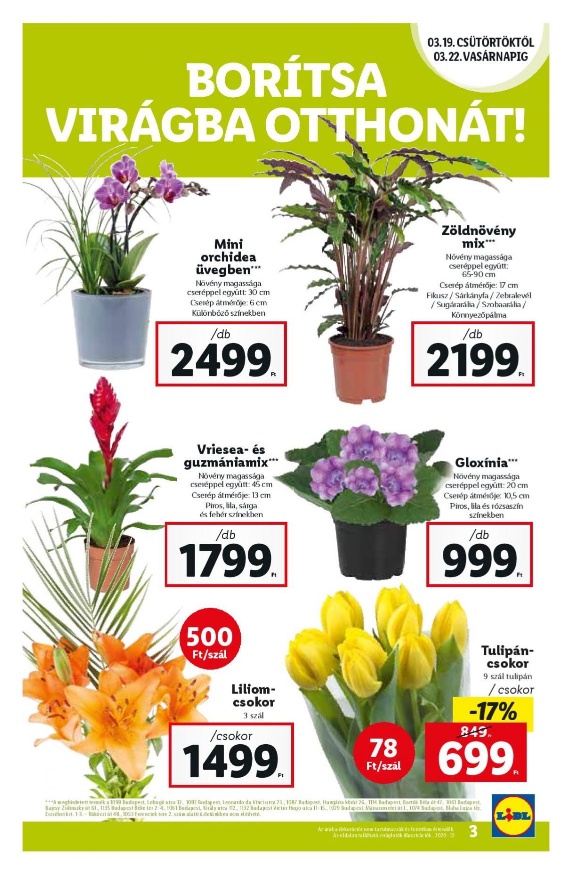 0319lidl-page-003