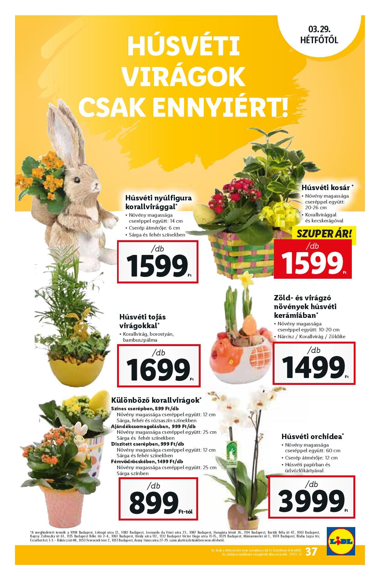 lidl0325-page-037