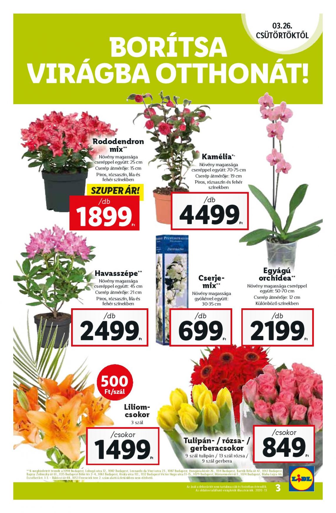 lidl0336-page-003