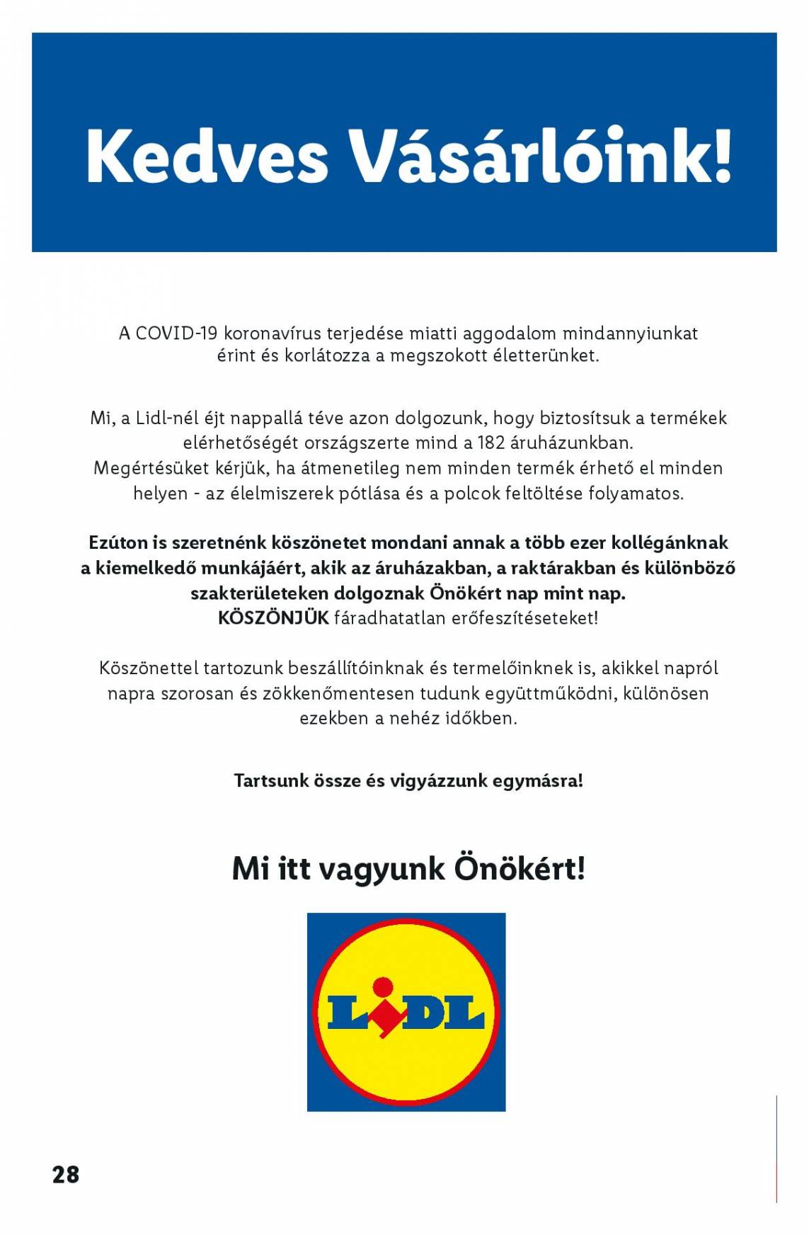 lidl0336-page-028