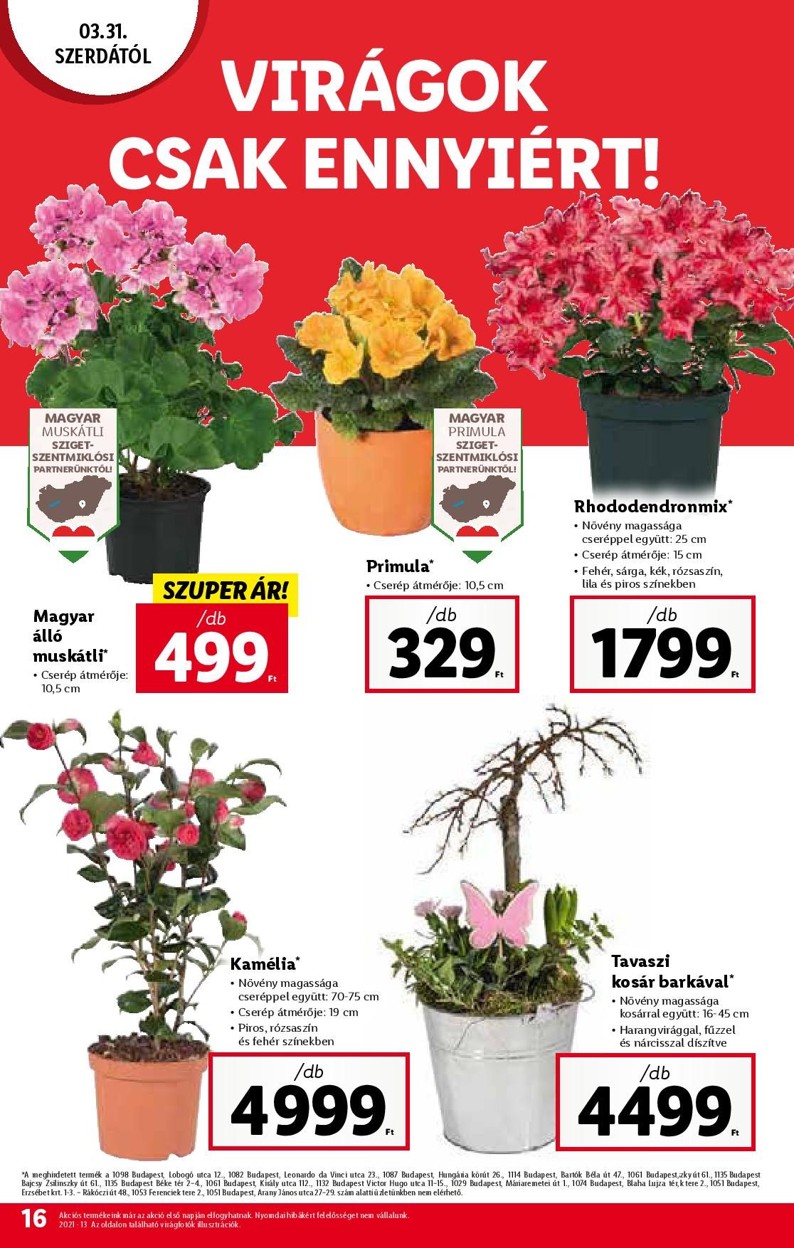 lidl0331-0403-page-016