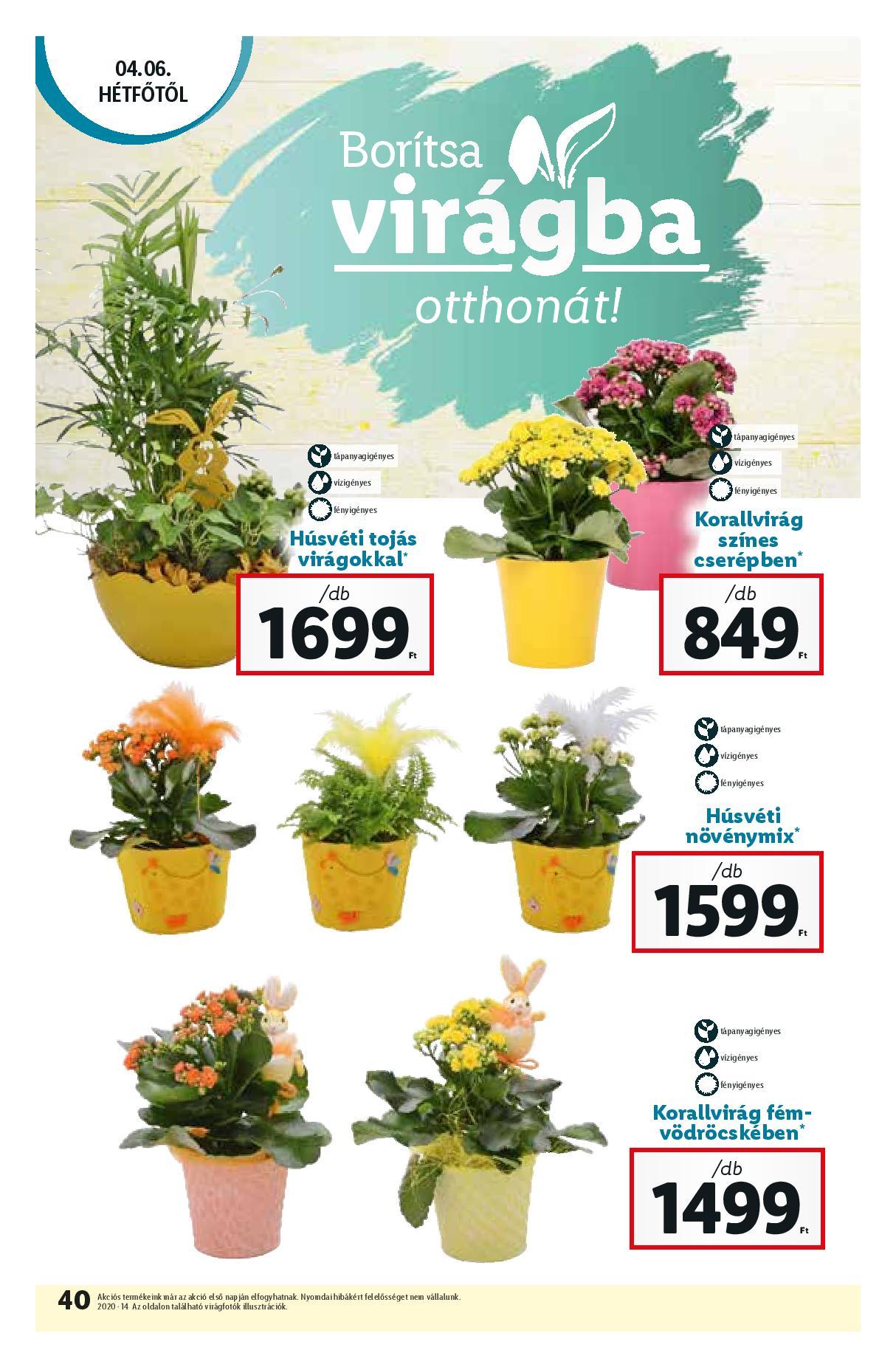 lidl0402-page-040