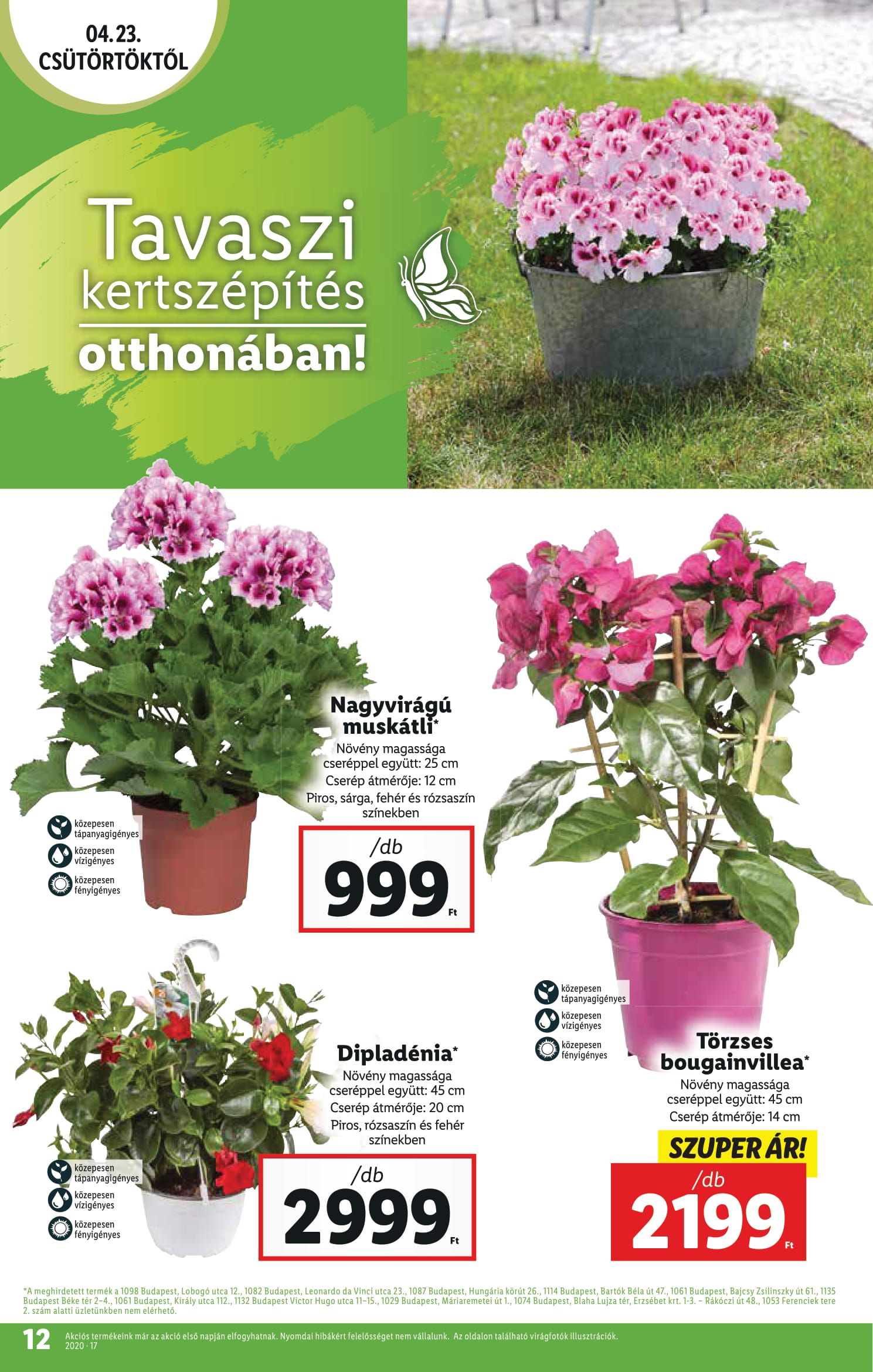 lidl0423-12