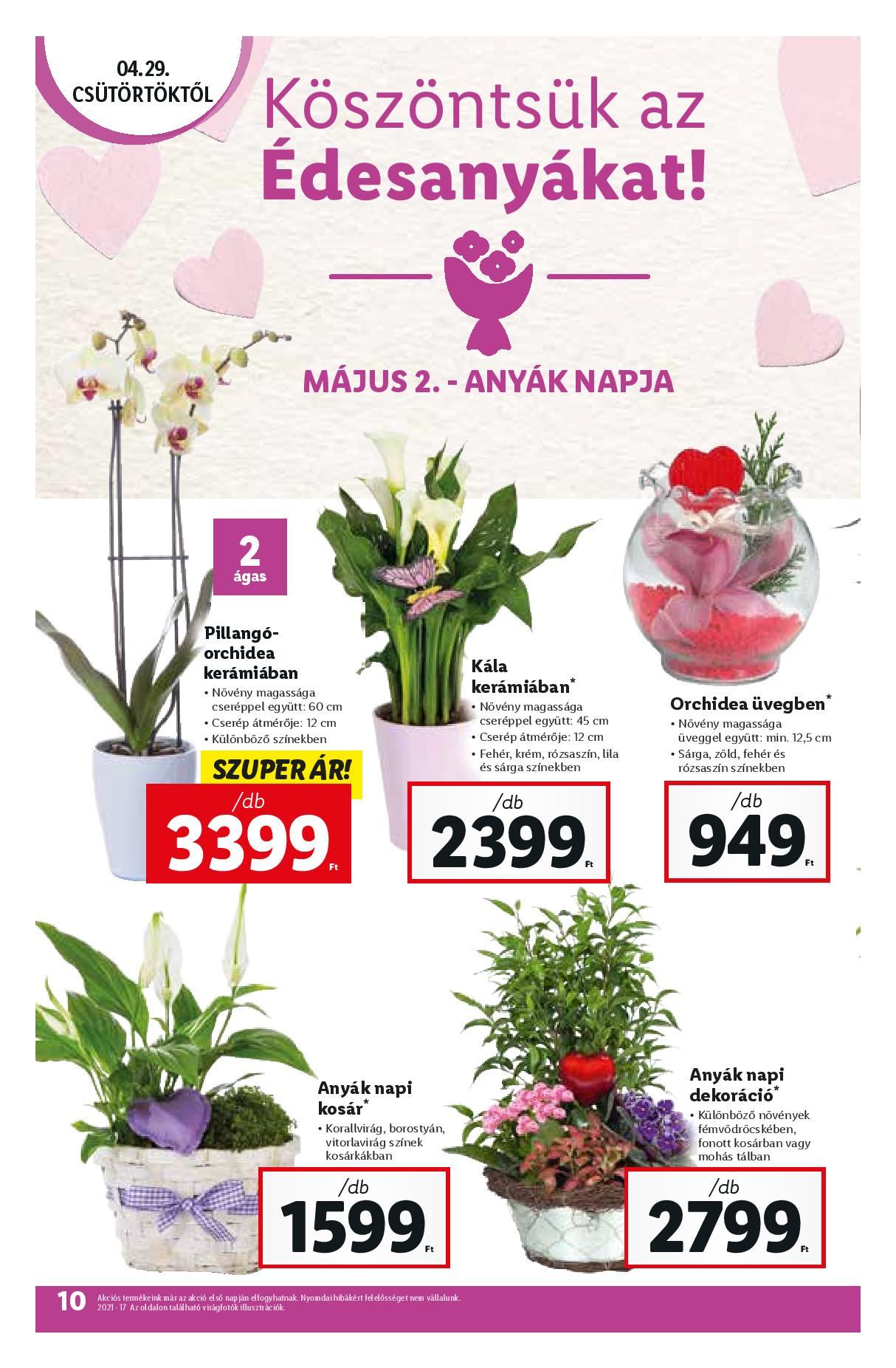 lidl0429-0505-page-010