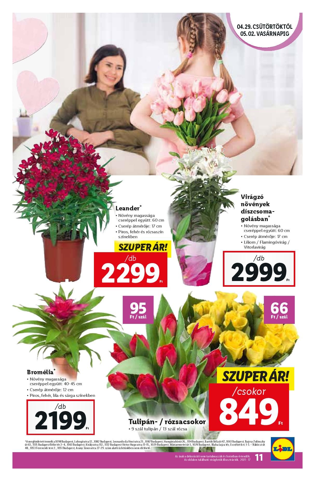 lidl0429-0505-page-011