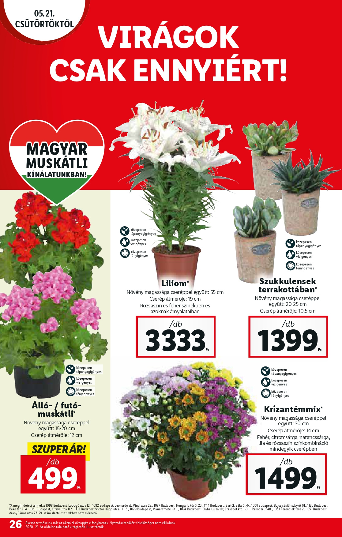 lidl0521_page-0026