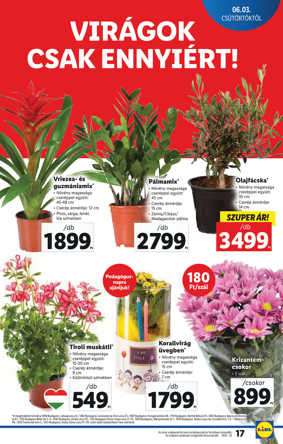 lidl0603-069-17