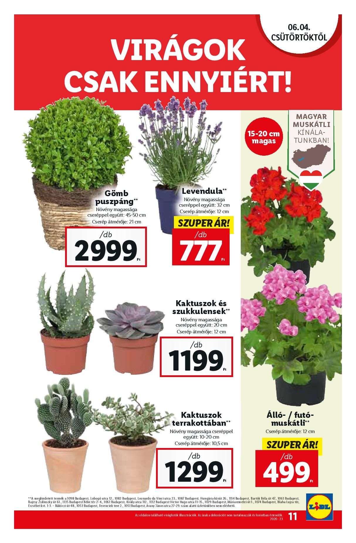 lidl0604-page-011