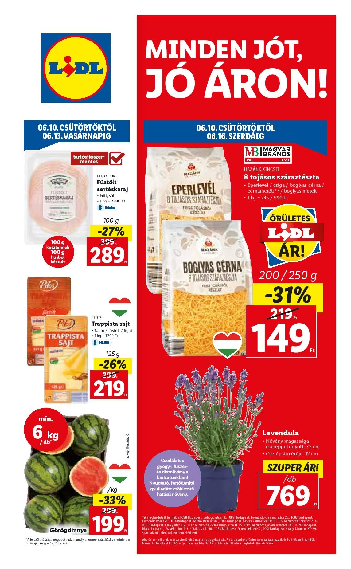 lidl0610-16-page-001