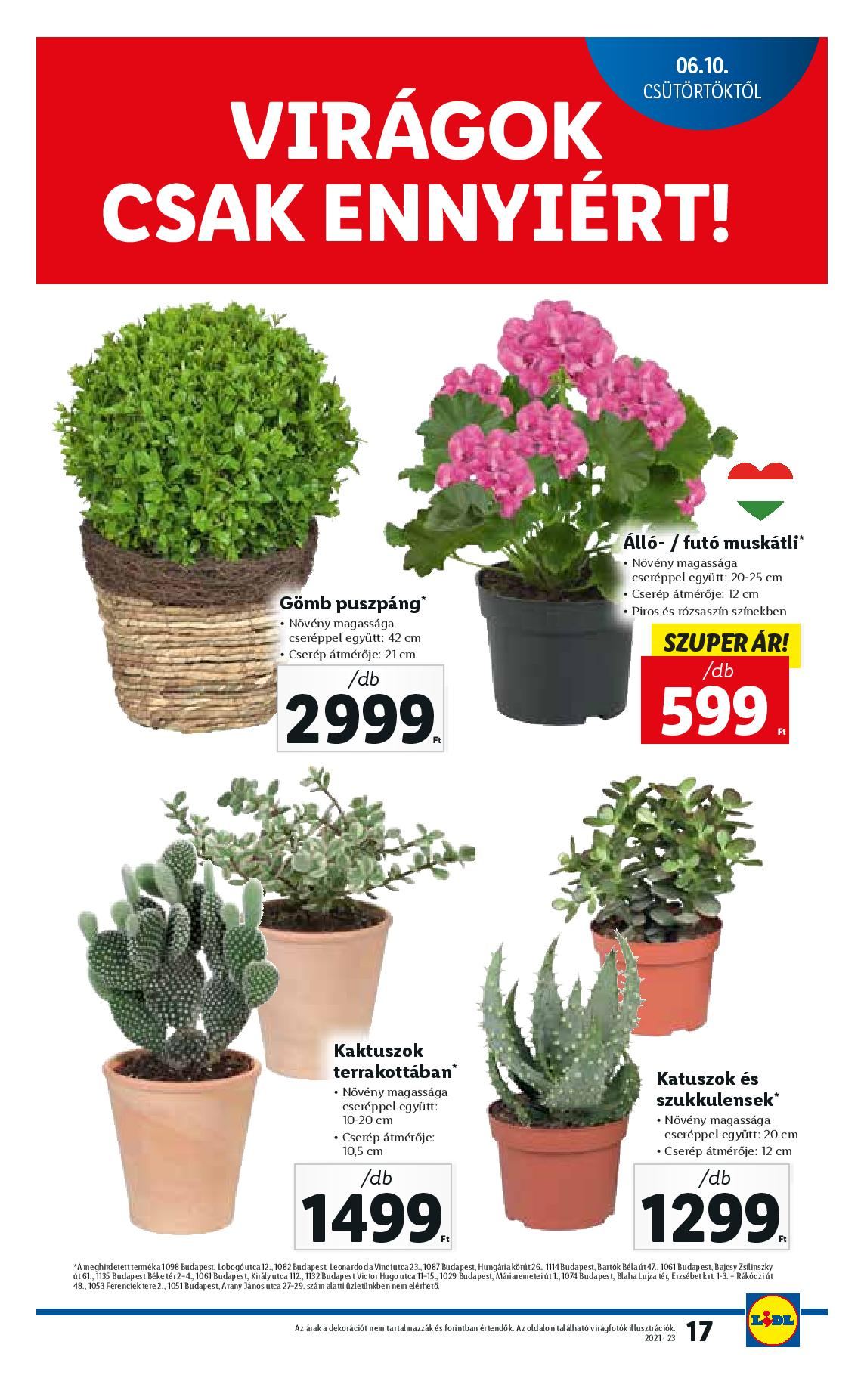 lidl0610-16-page-017