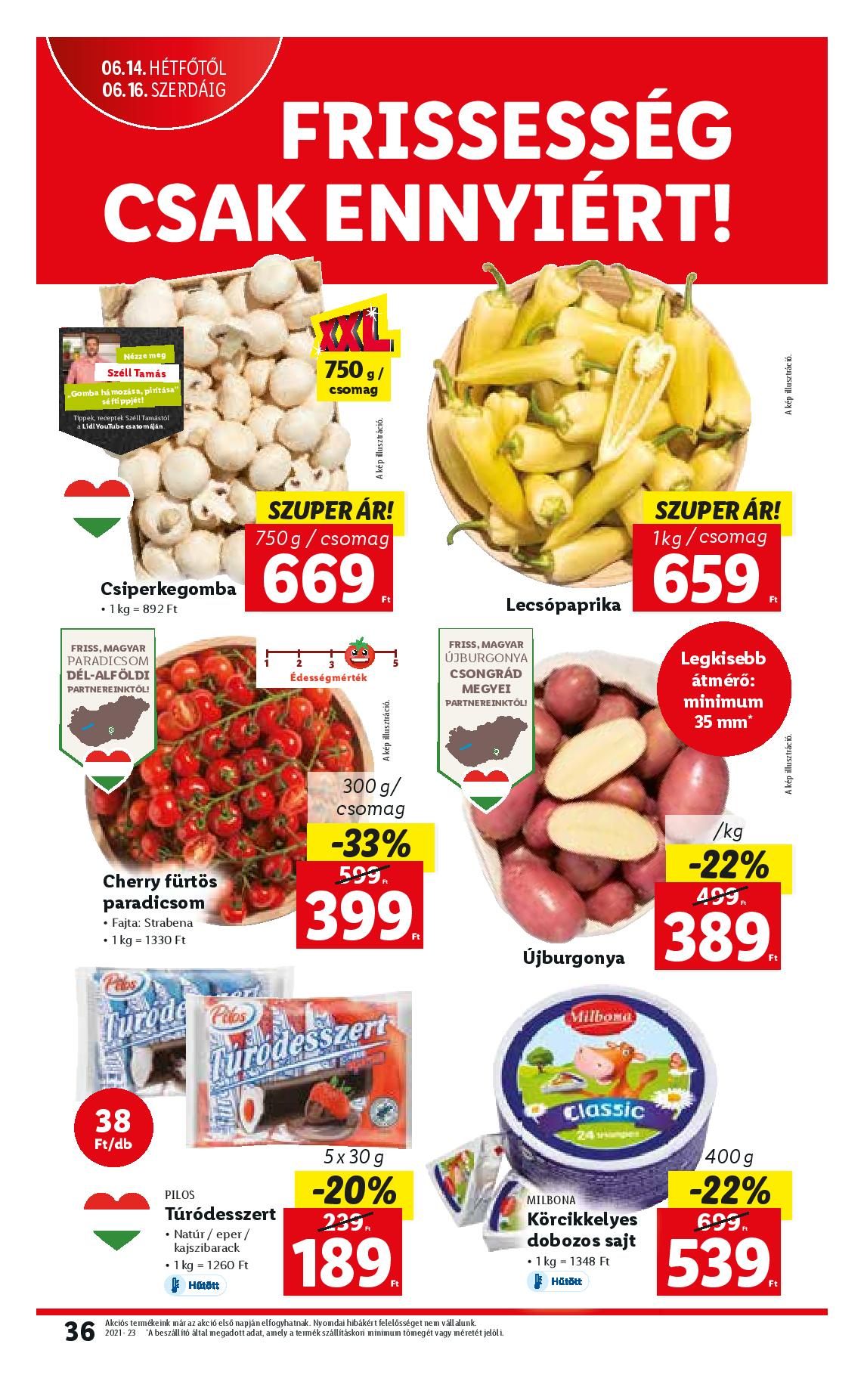 lidl0610-16-page-036