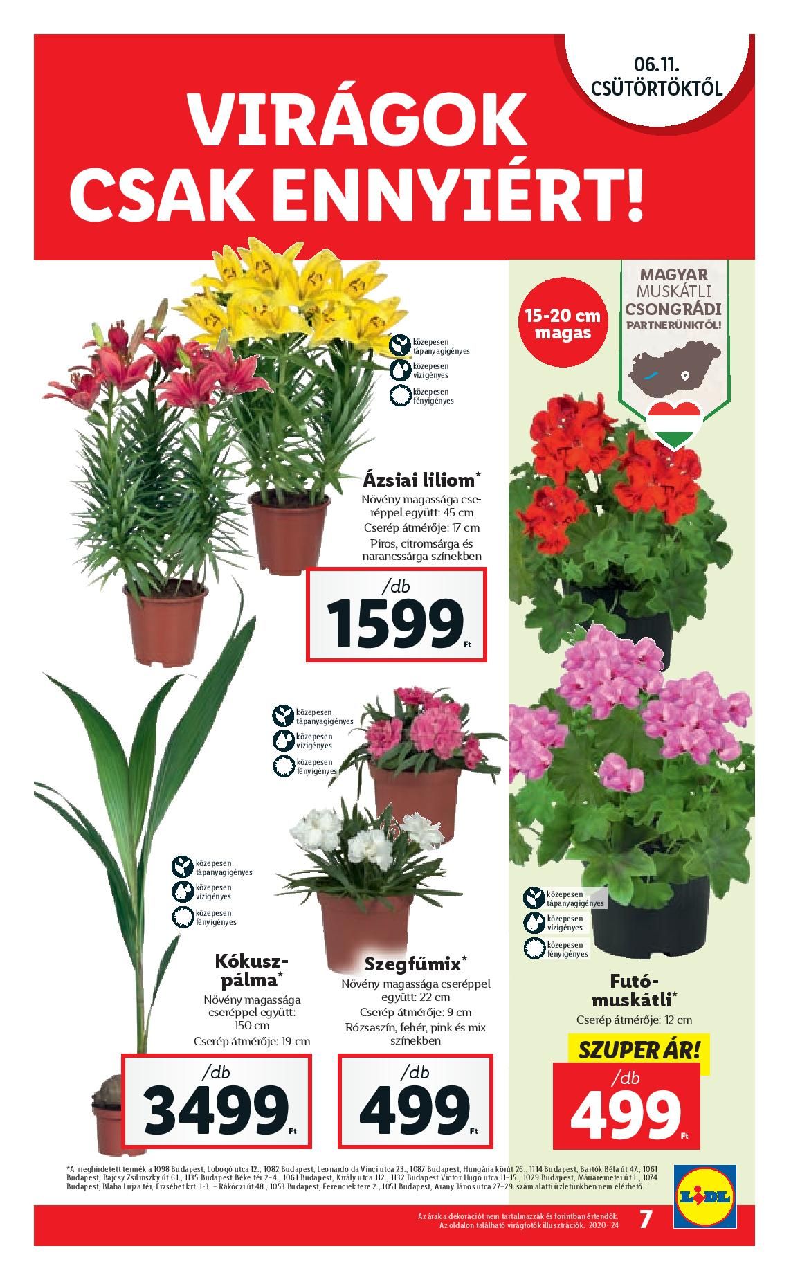 lidl0611-page-007