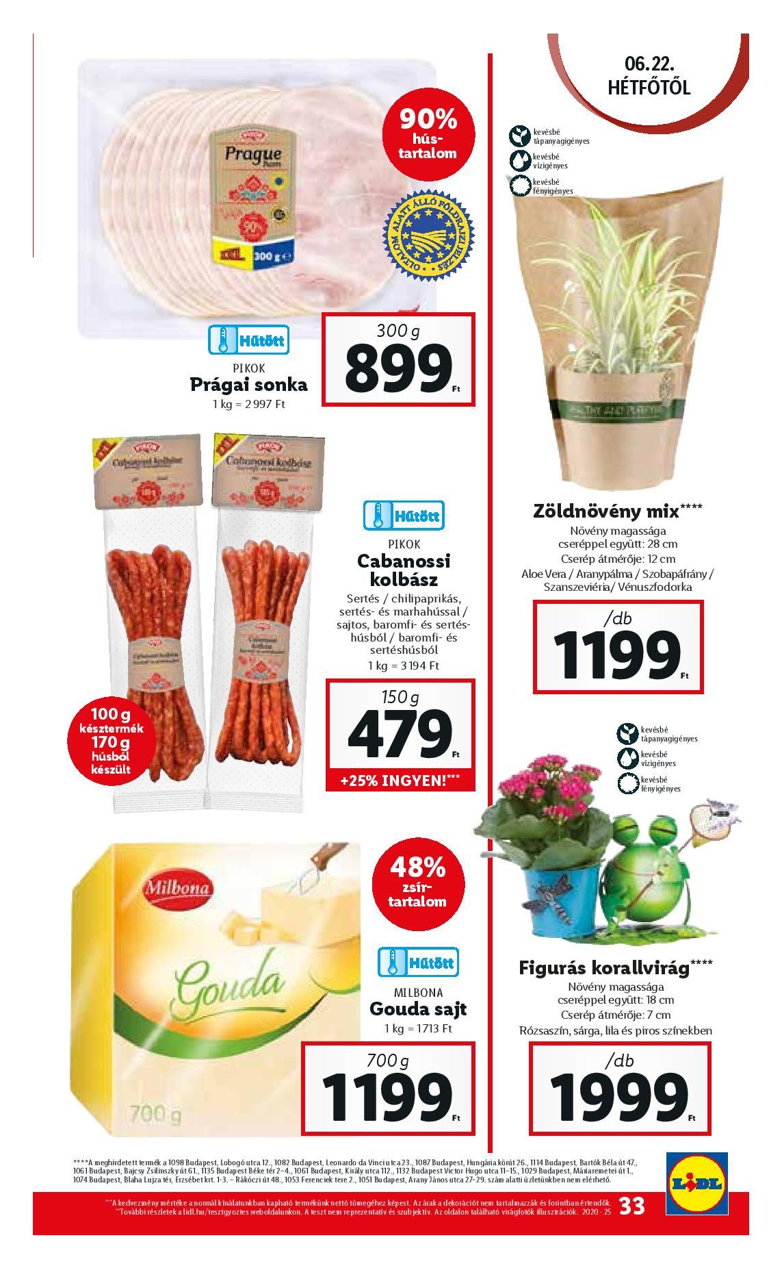 lidl0618-page-033