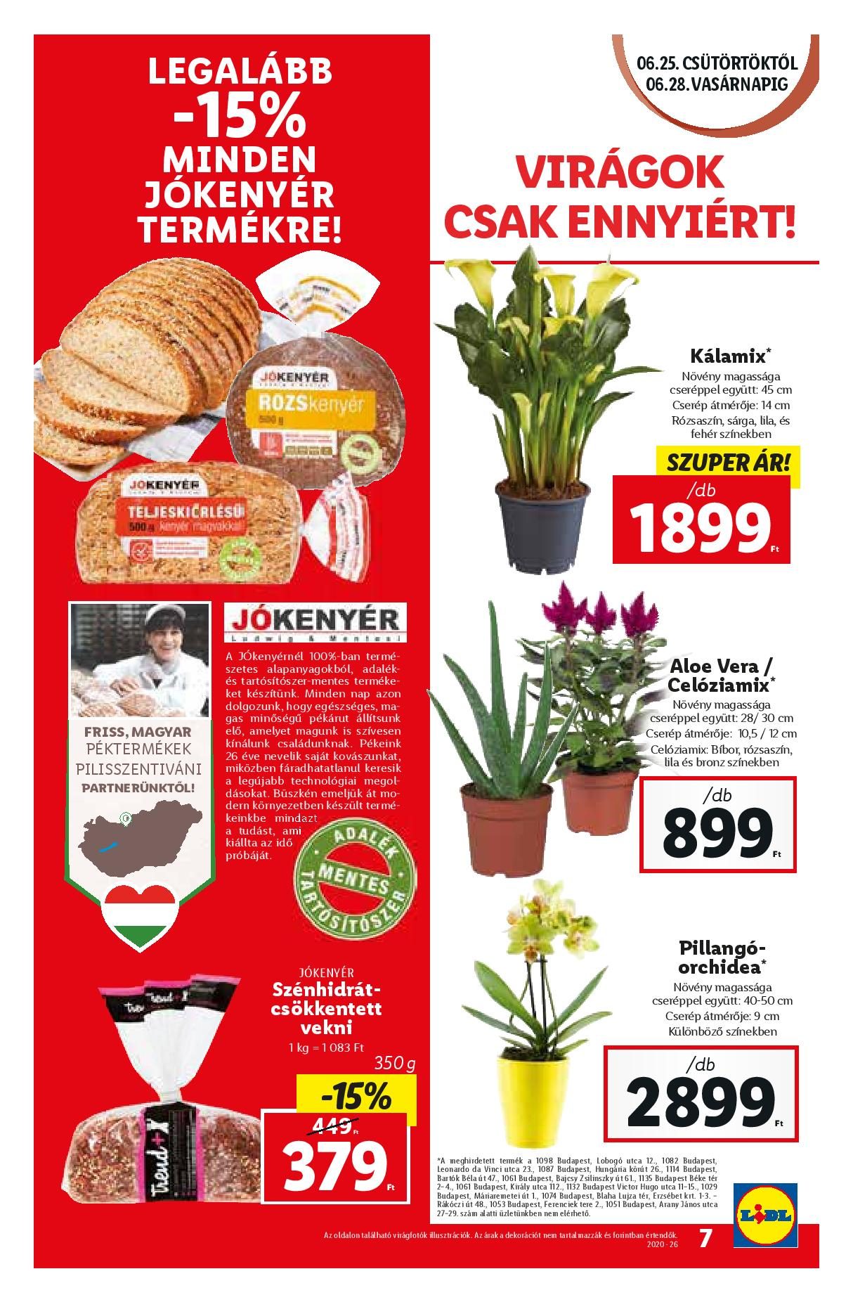 lidl0625-page-007