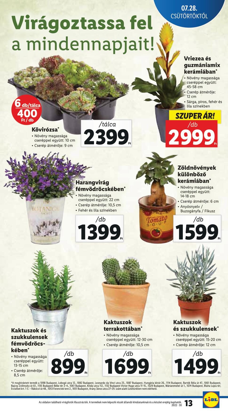 lidljulius28-13