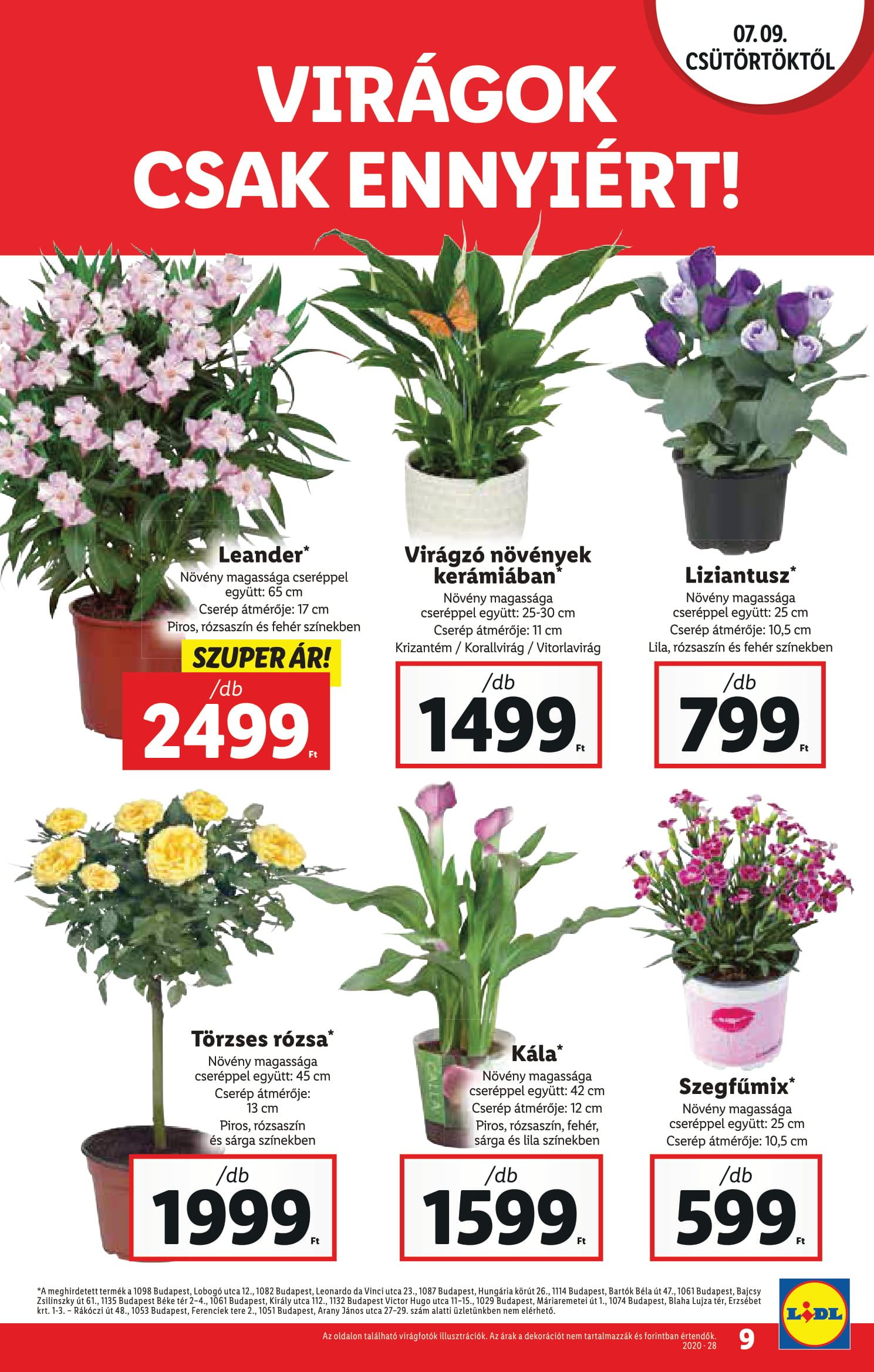 lidl0709-09
