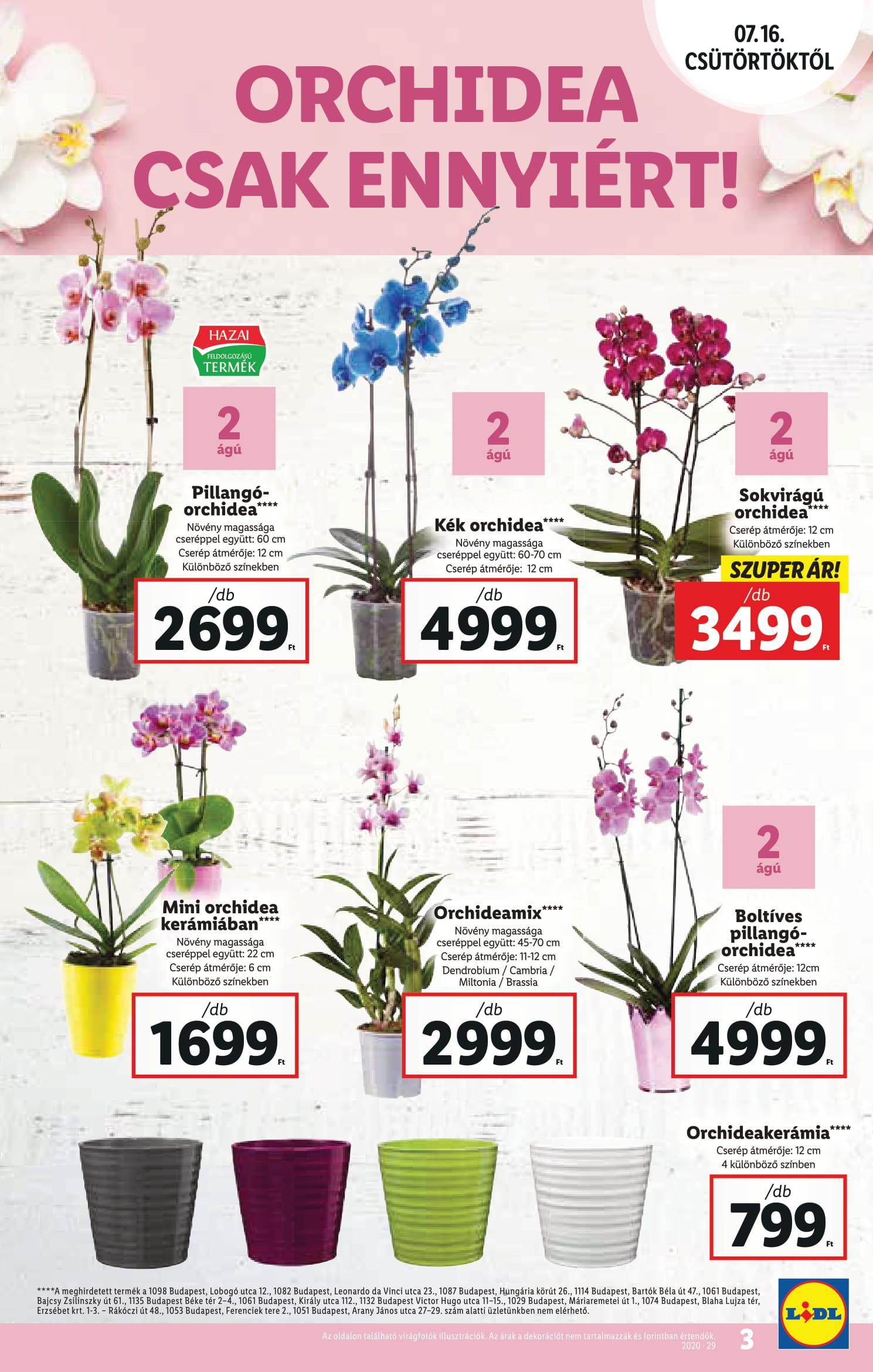 lidl0716-03