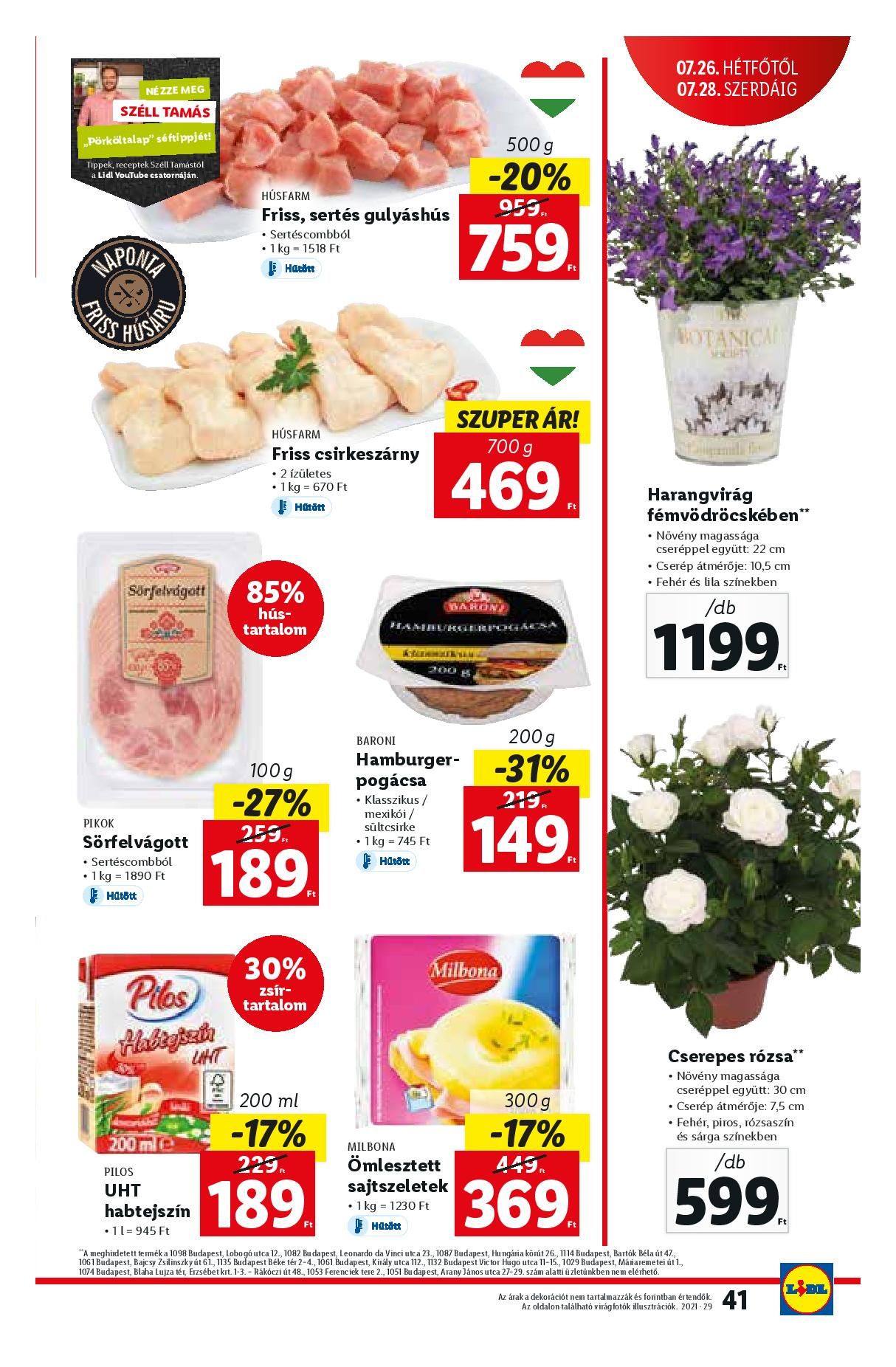 Akcios-ujsag-29-het-Ervenyes-07-22-tol-01-page-041