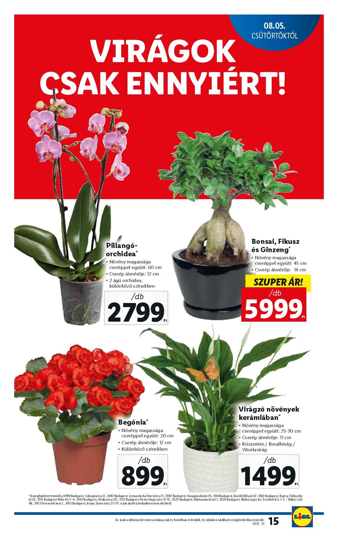 lidl0805-page-015