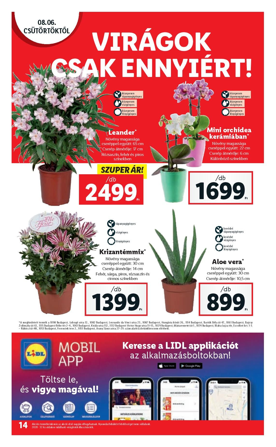 lidl0806-page-014