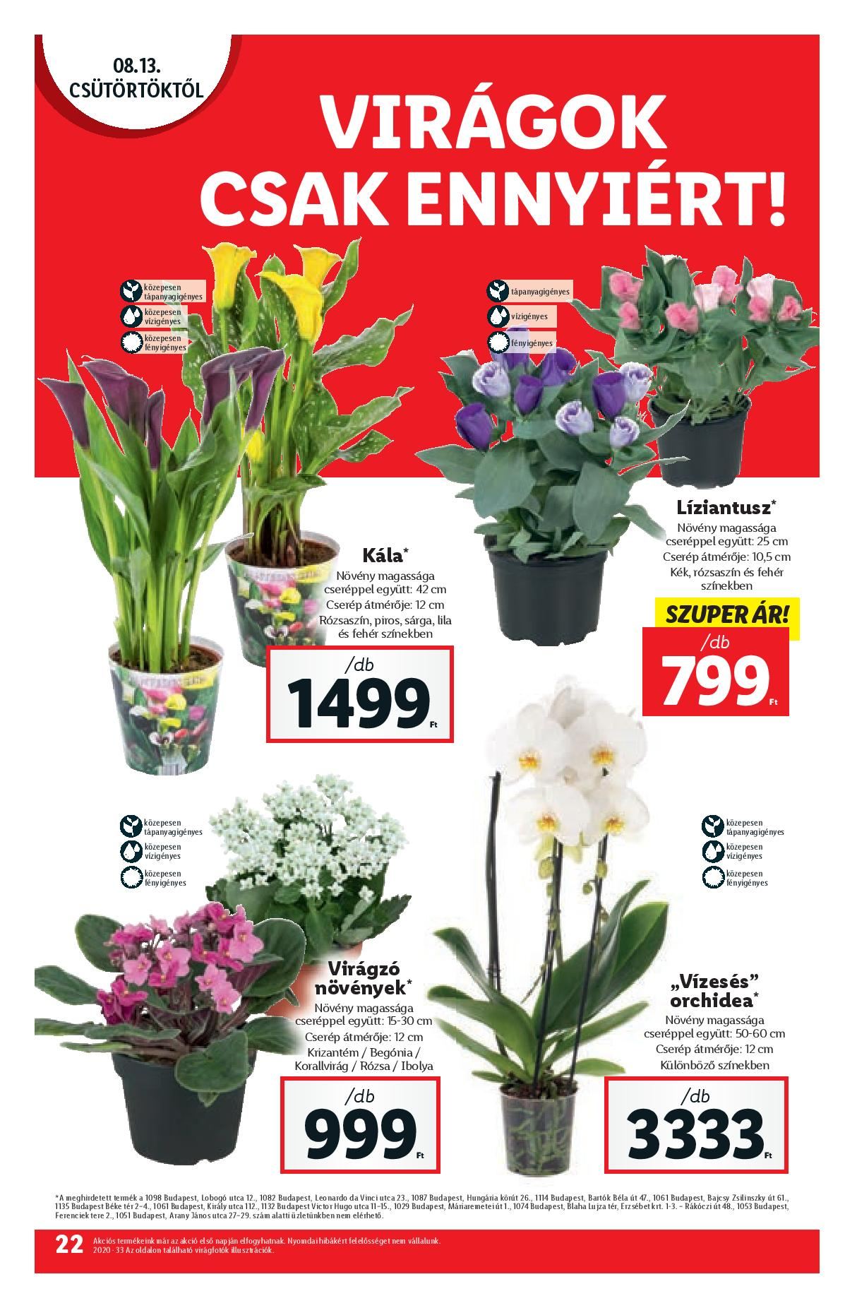 lidl0813-page-022