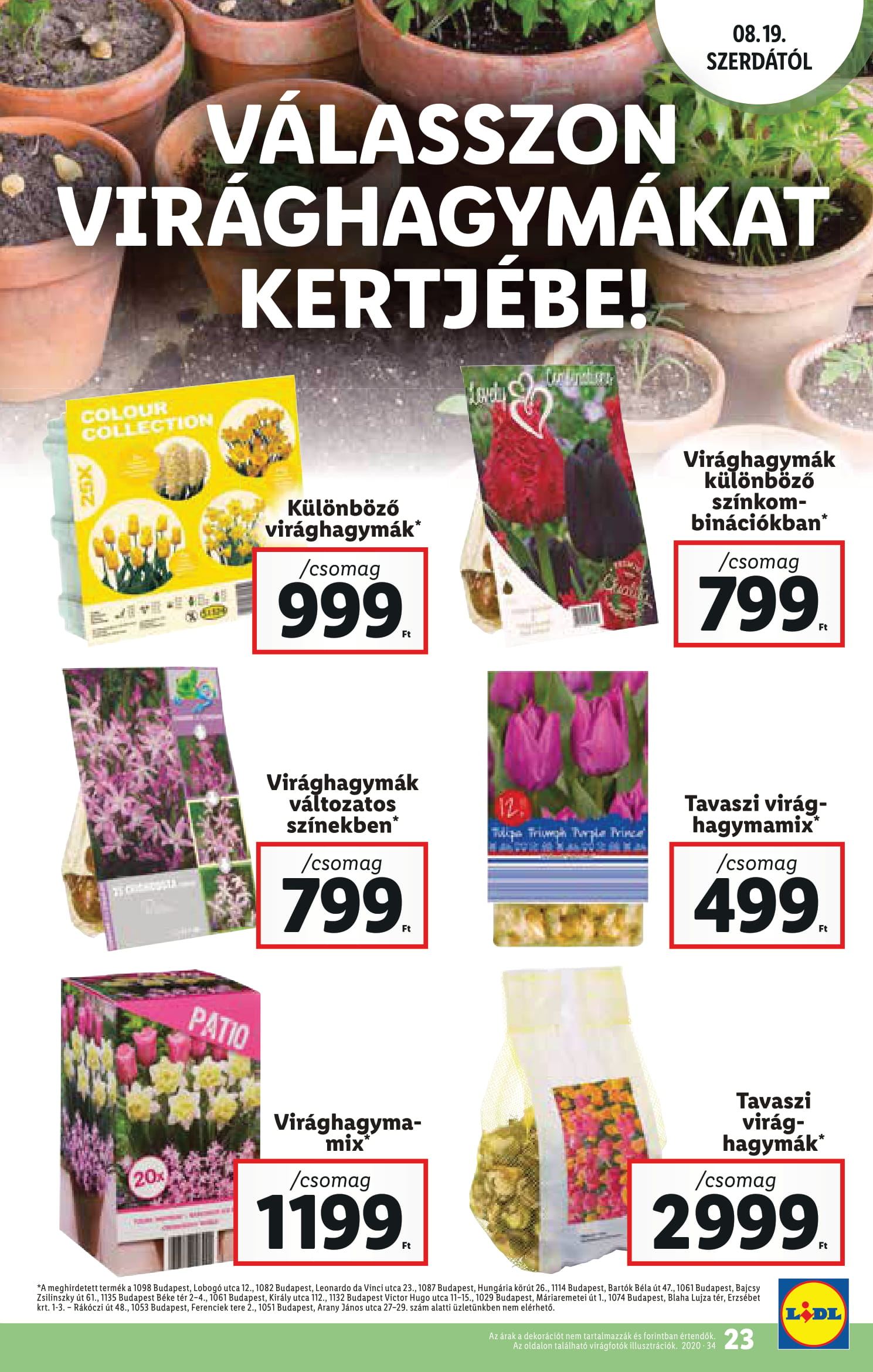 lidl0819-23