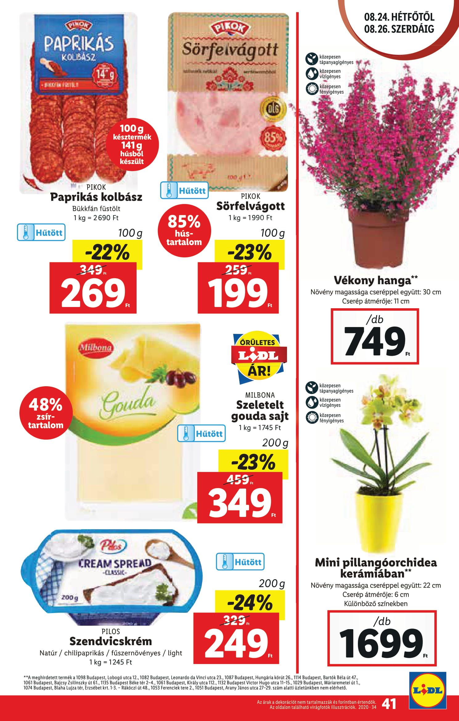 lidl0819-41