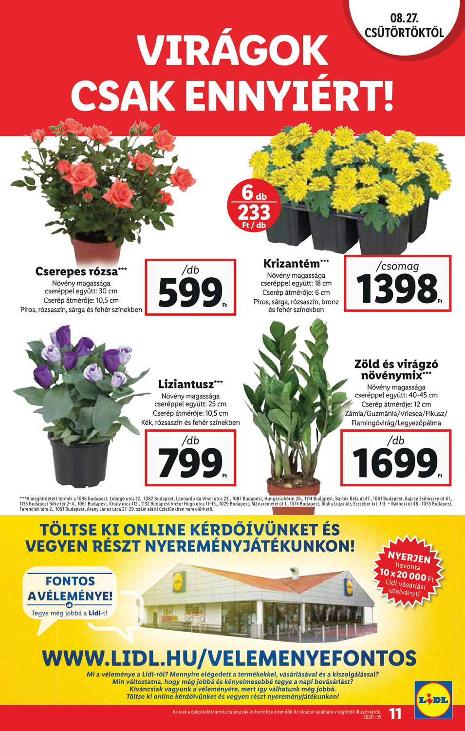 lidl0827-11