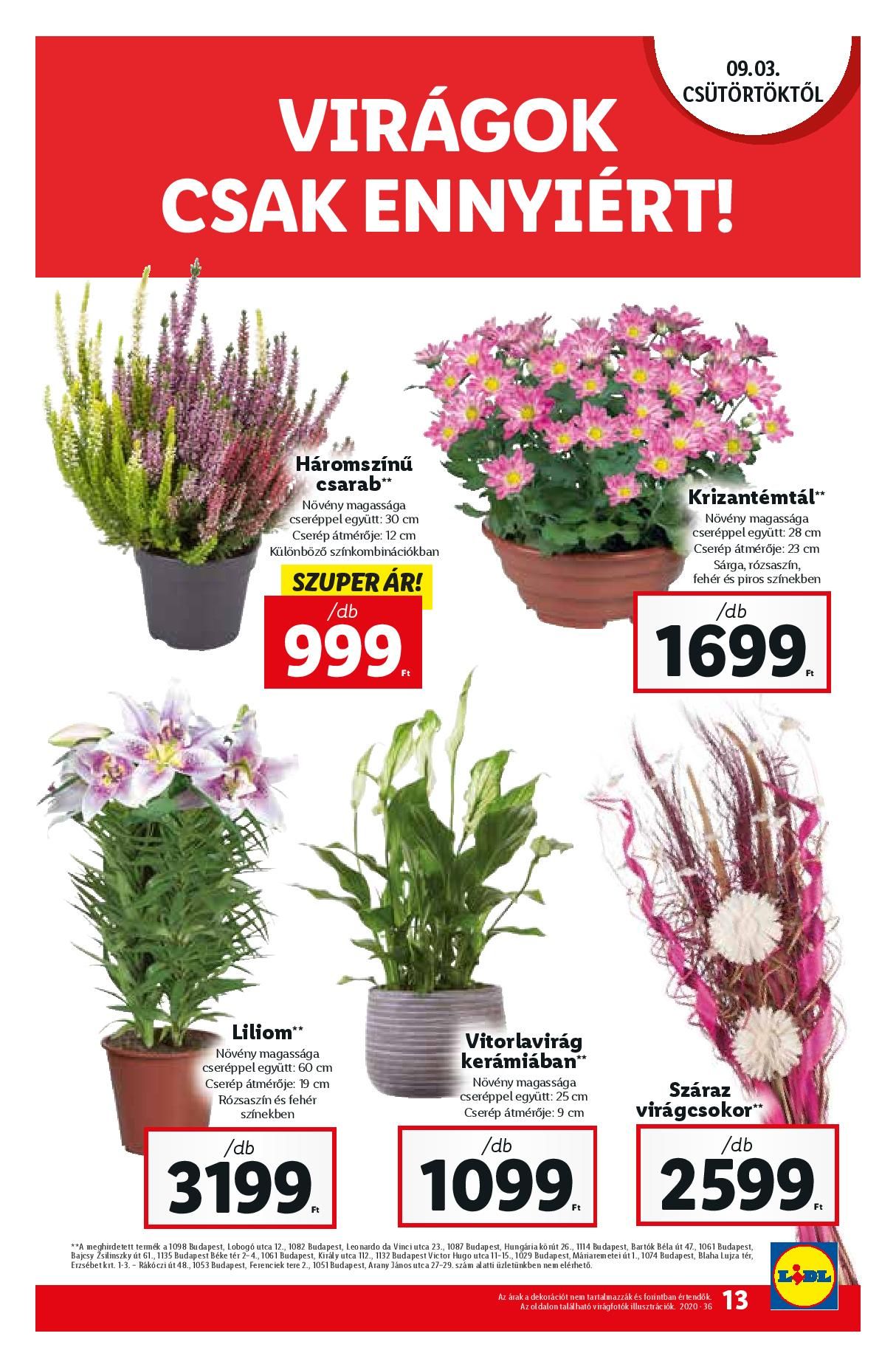 lidl0903-page-013