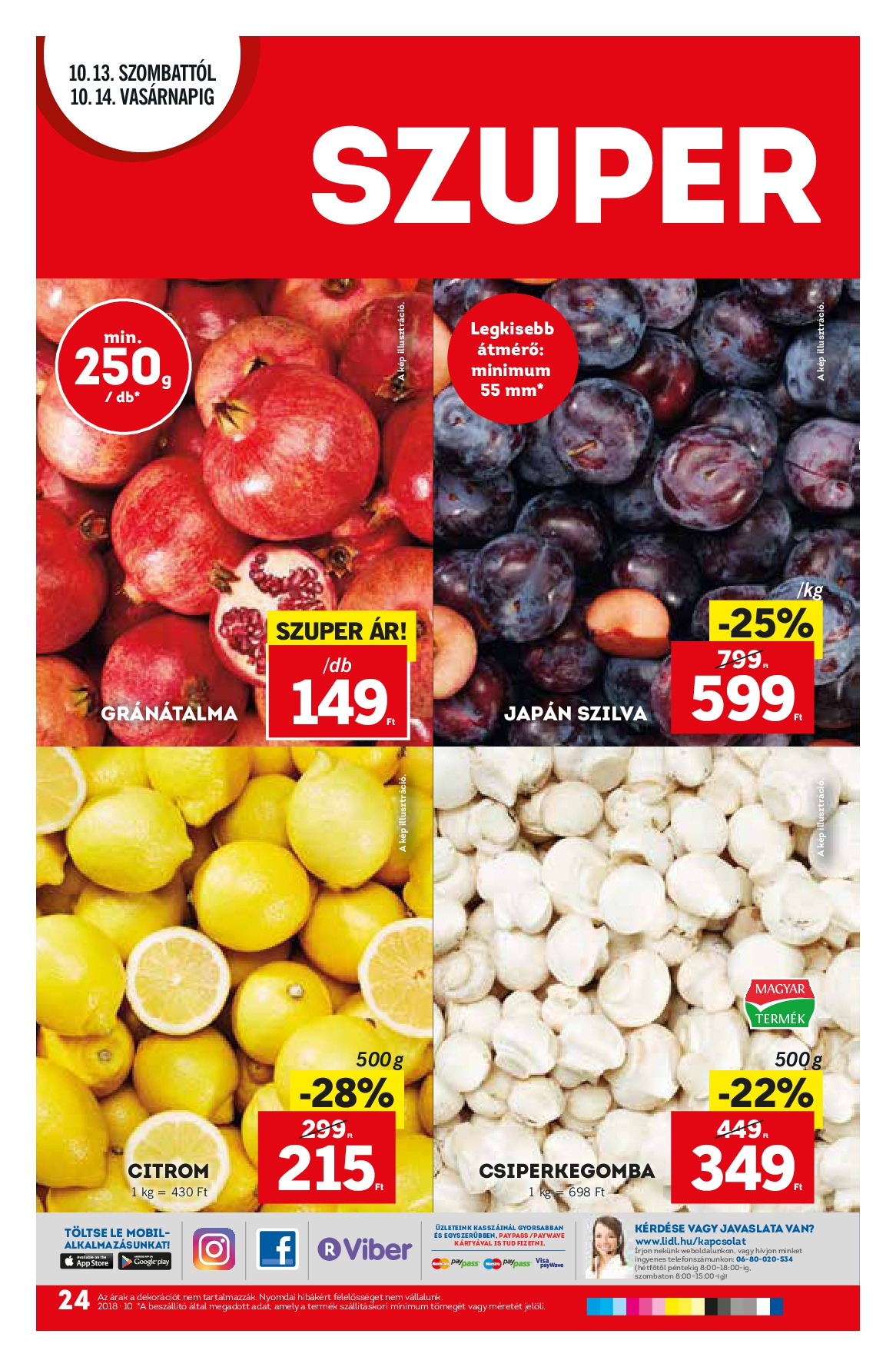 lidl-10.11-tol-024