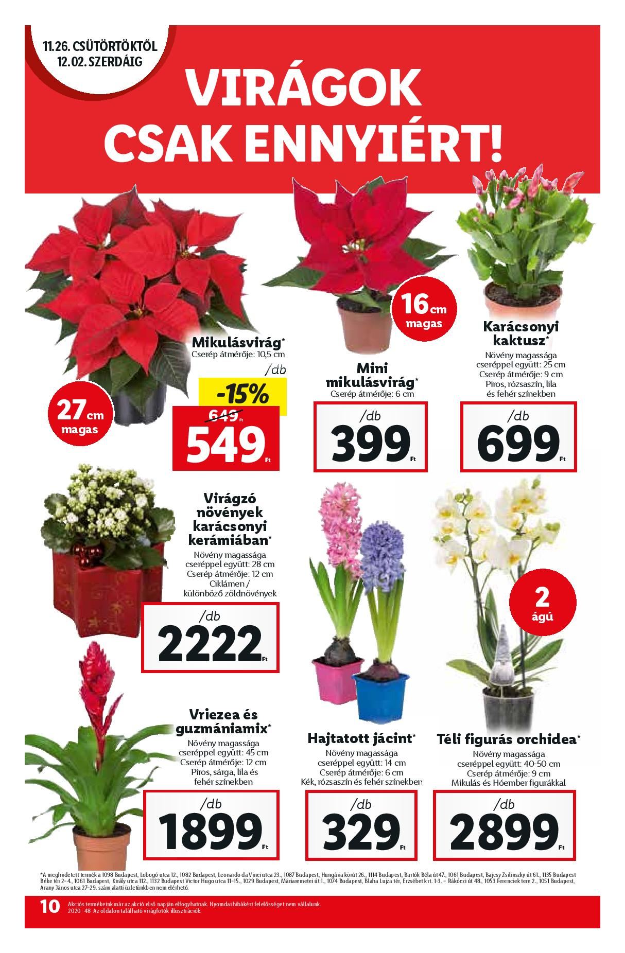 1126-lidl-page-010
