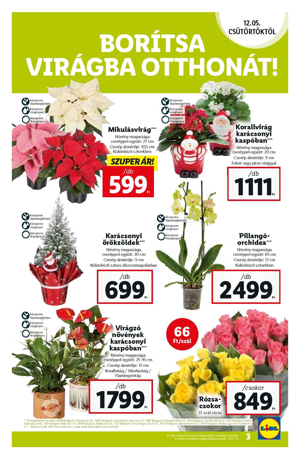 lidl1205-page-003
