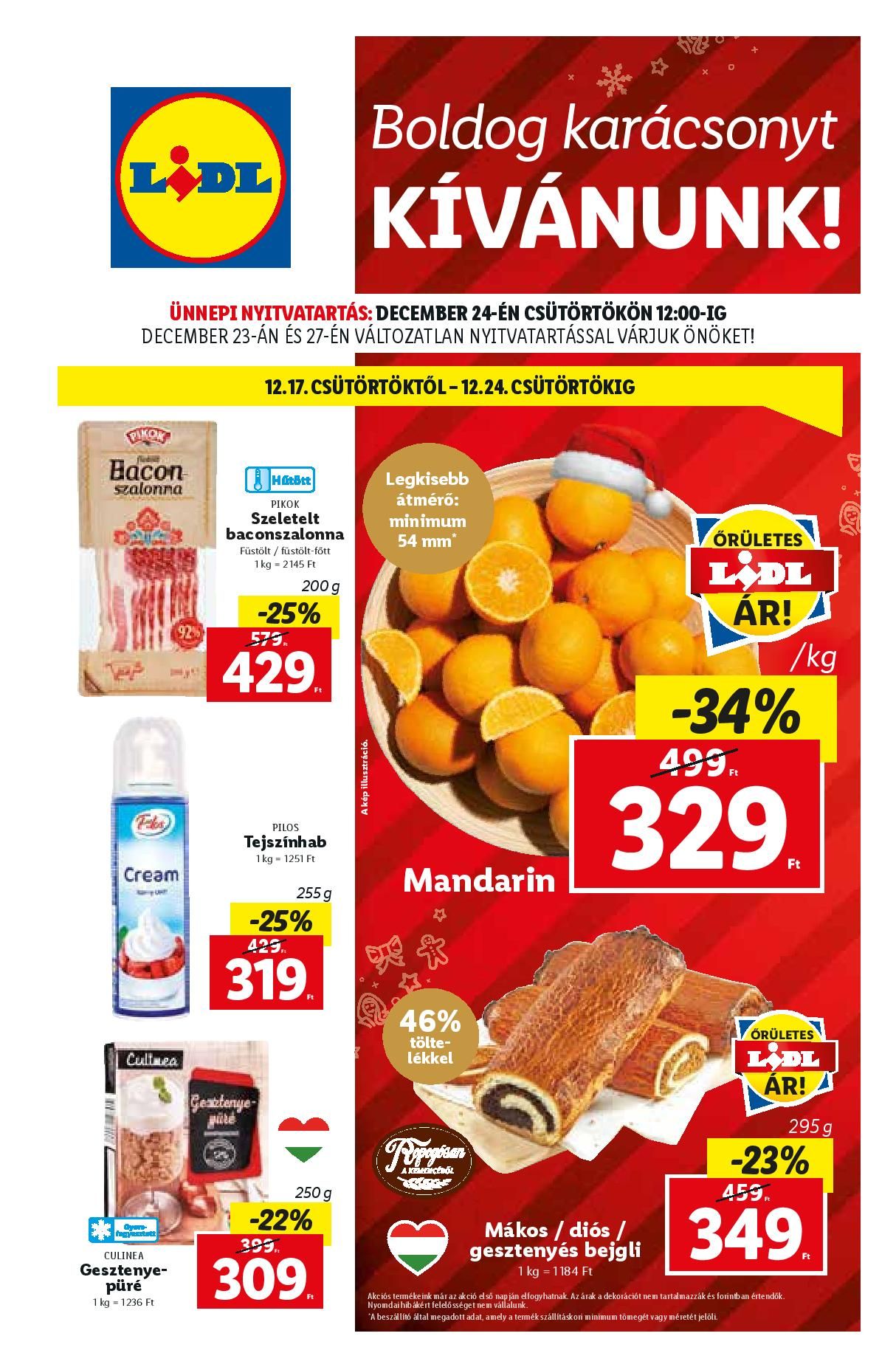 lidl1217-page-001