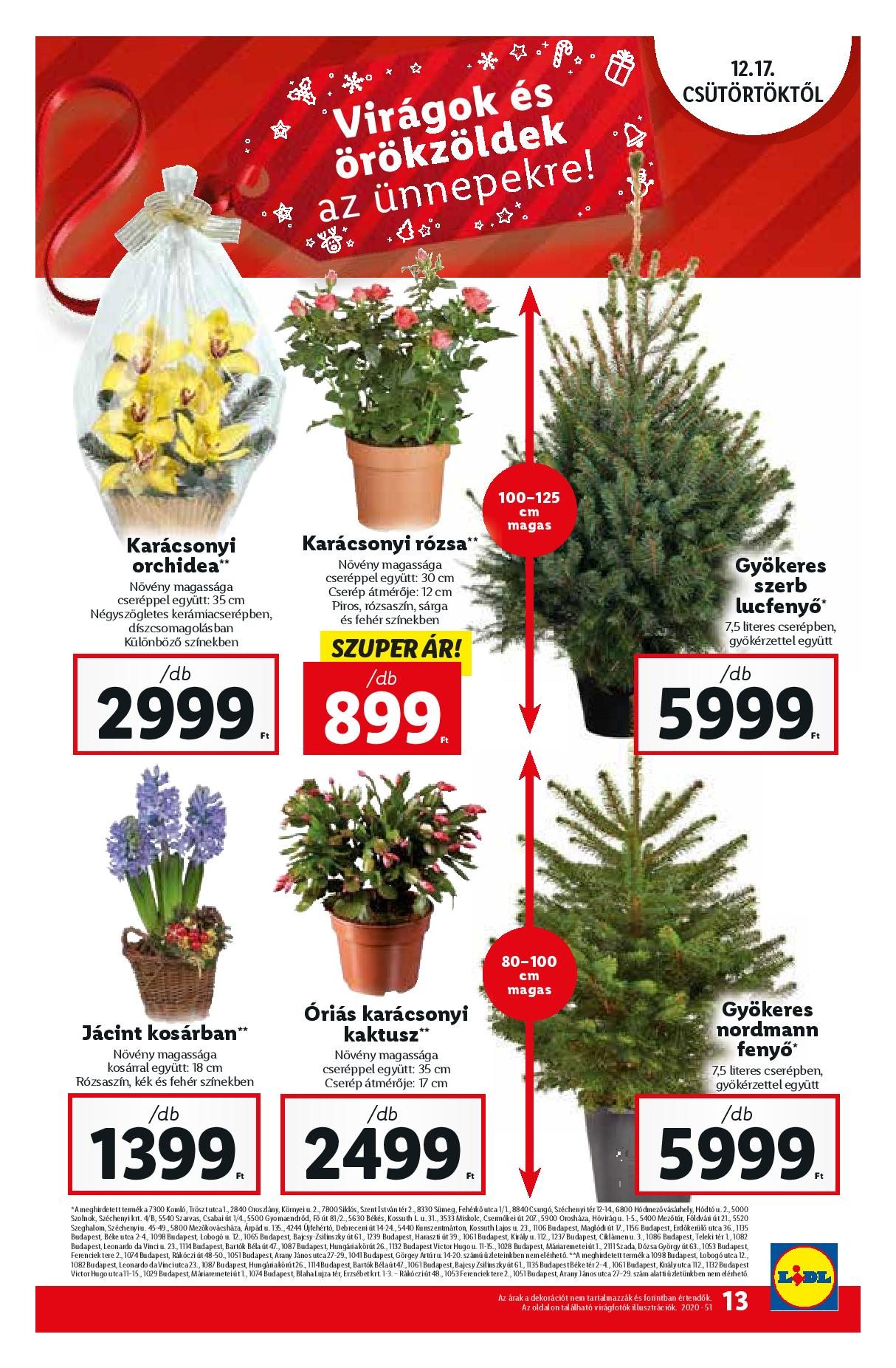 lidl1217-page-013