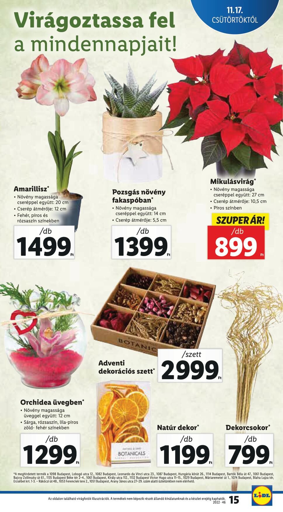 lidl1723-15