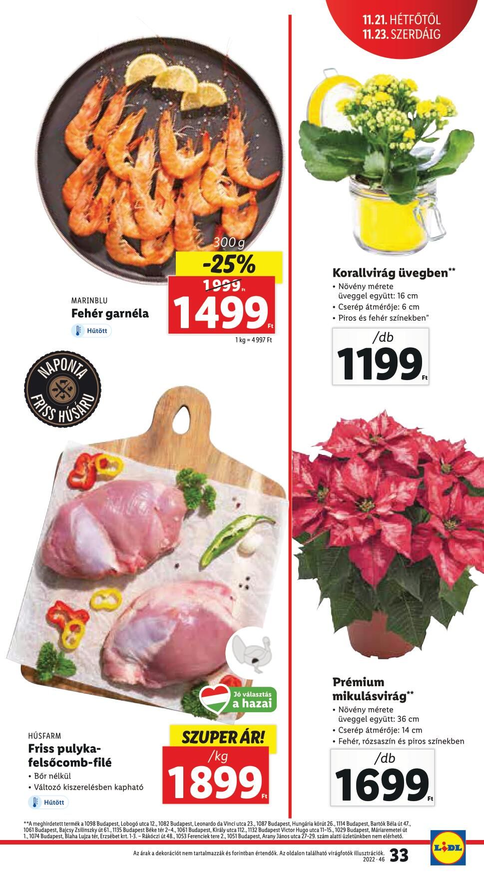 lidl1723-33