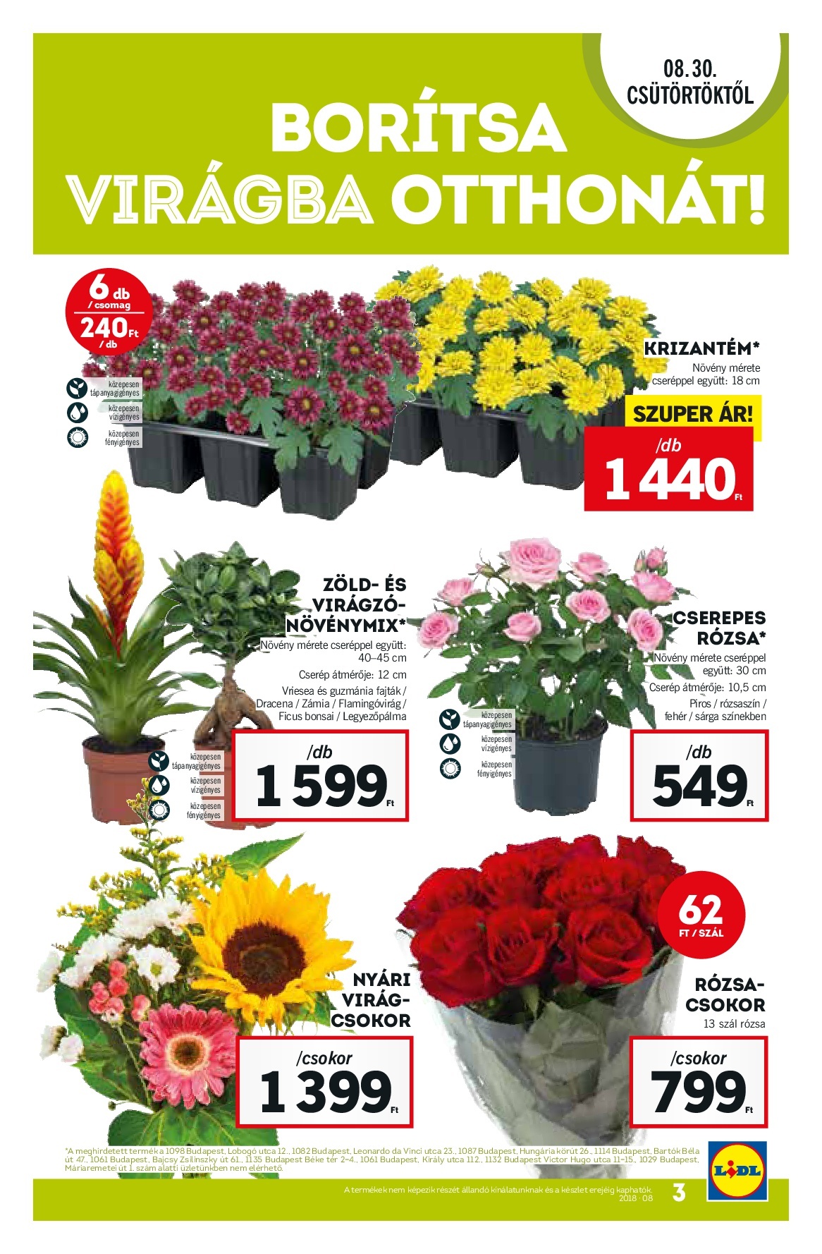 08.30-lidl-003