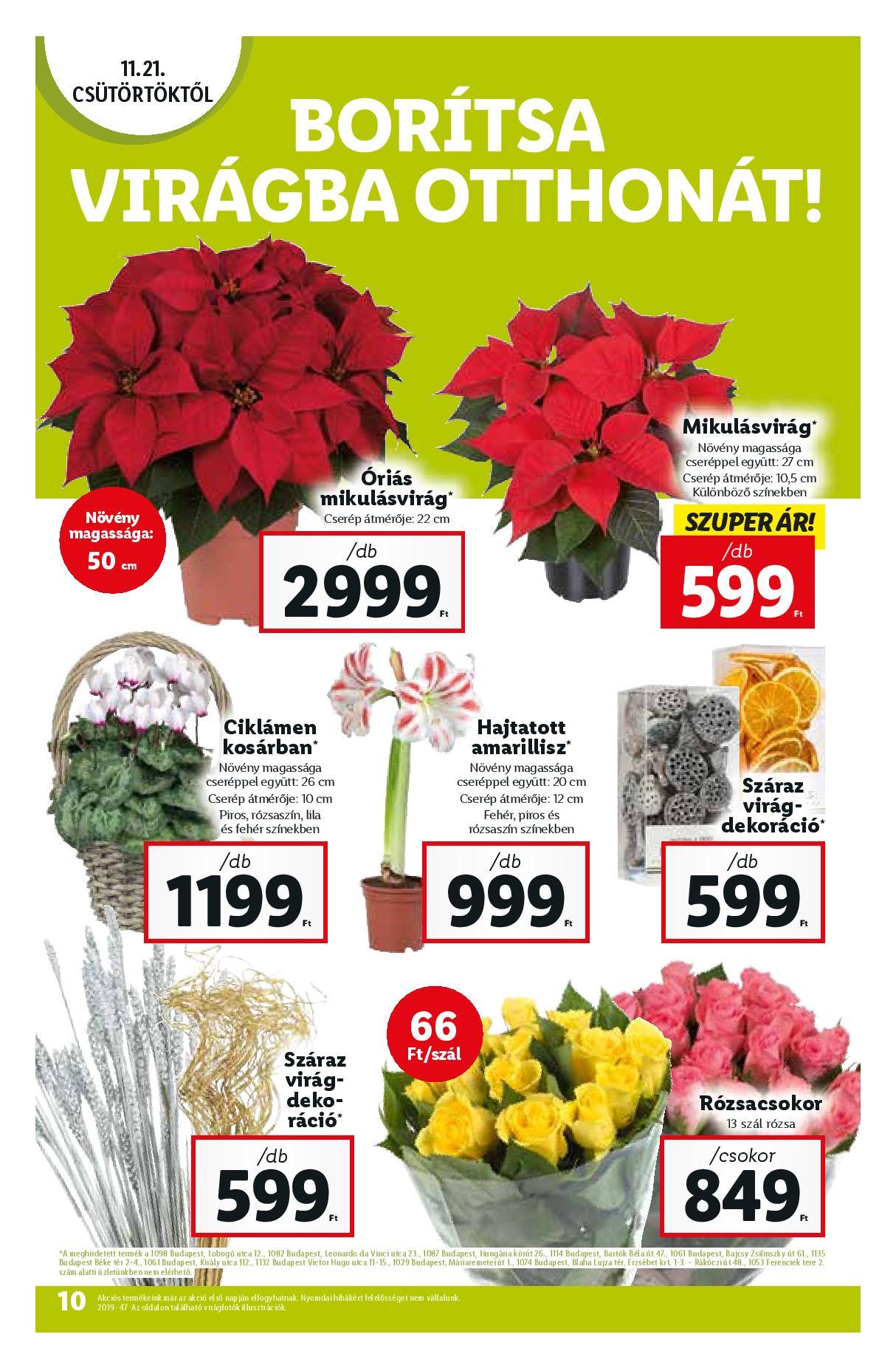 lidl21-page-010