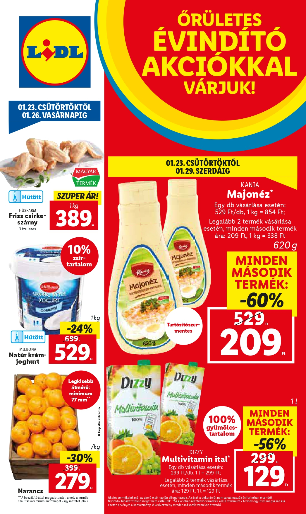 lidl0123_page-0001